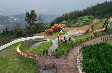 Wenzhou Wencheng County Jiulong Mountain Tea Fun Pa
